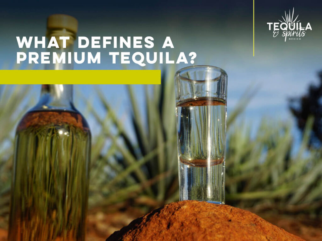A glass and a bottle with premium tequila at the agave fields.