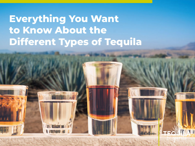 The Different Types Of Tequila and What You Need To Know