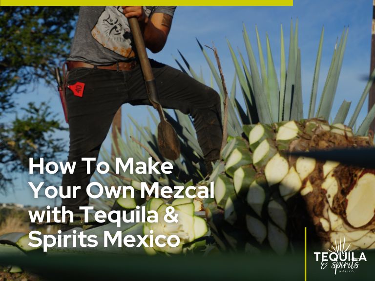 It's the image of a “jimador” harvesting agave. In white there´s the text “How to make your own mezcal with Tequila & Spirits Mexico”.