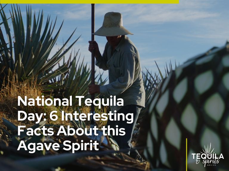 It is the image of a jimador in an agave field, alluding to National Tequila Day.