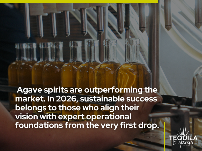 Agave brands growth insight showing that sustainable success comes from aligning vision with expert operational foundations from the beginning.