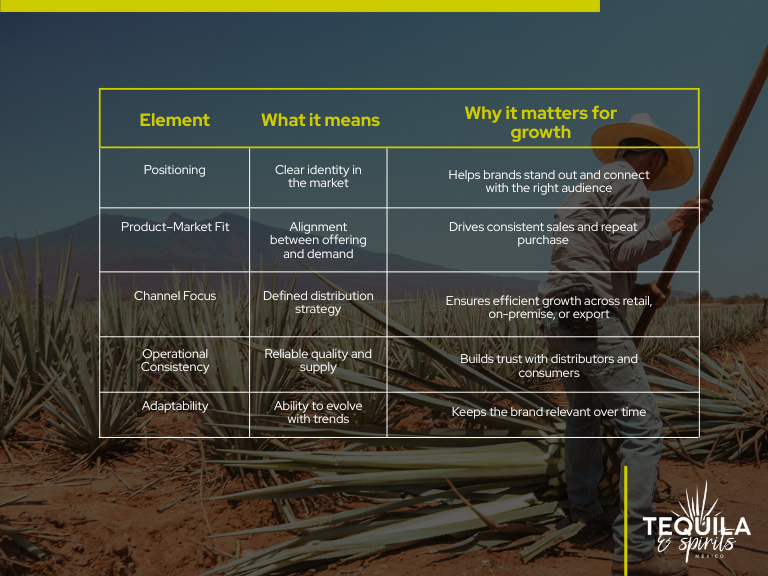 Table showing key factors that drive long term growth in agave brands including positioning product market fit channel focus and operational consistency.